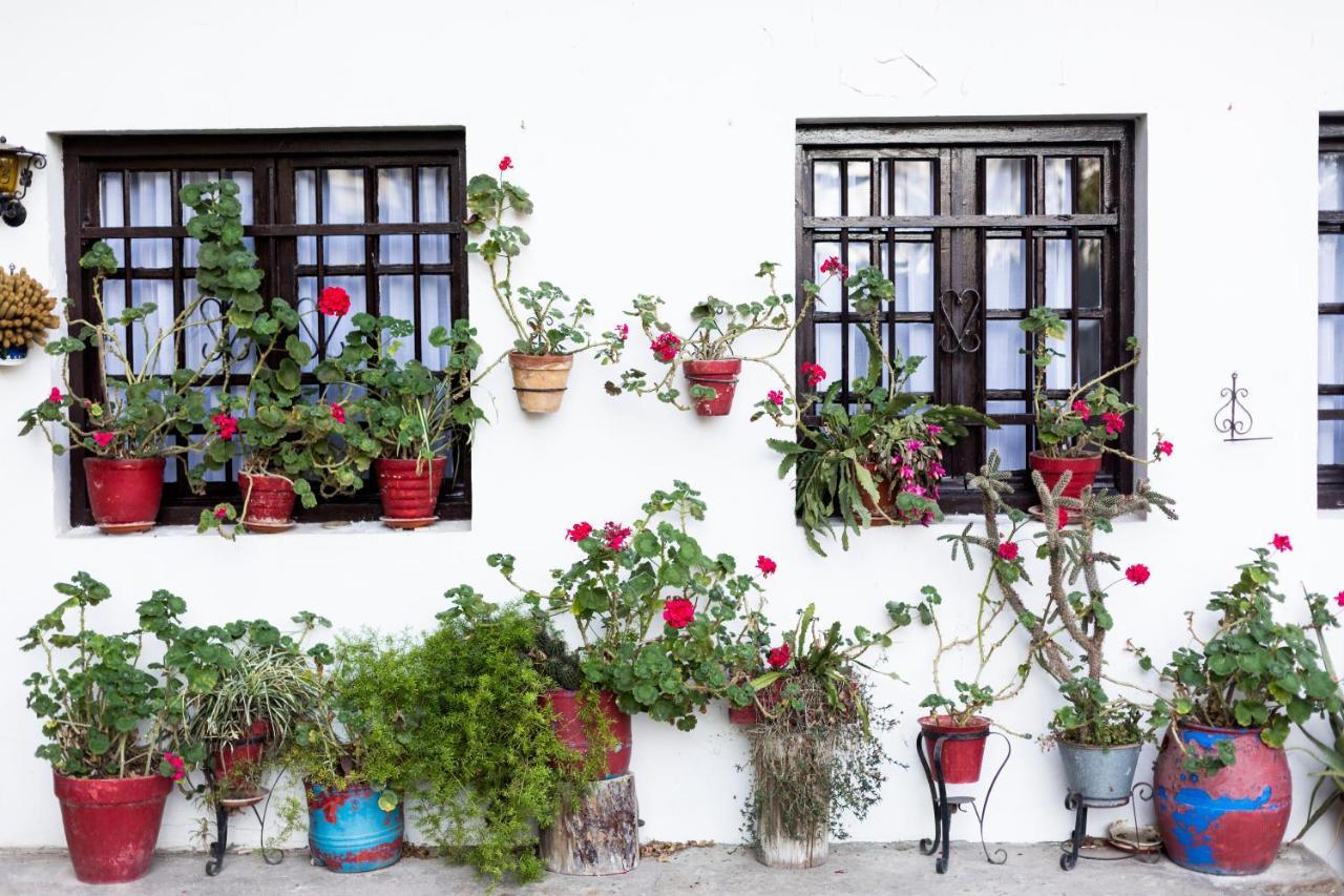 Olerki By Smiling Rentals Hondarribia Ngoại thất bức ảnh